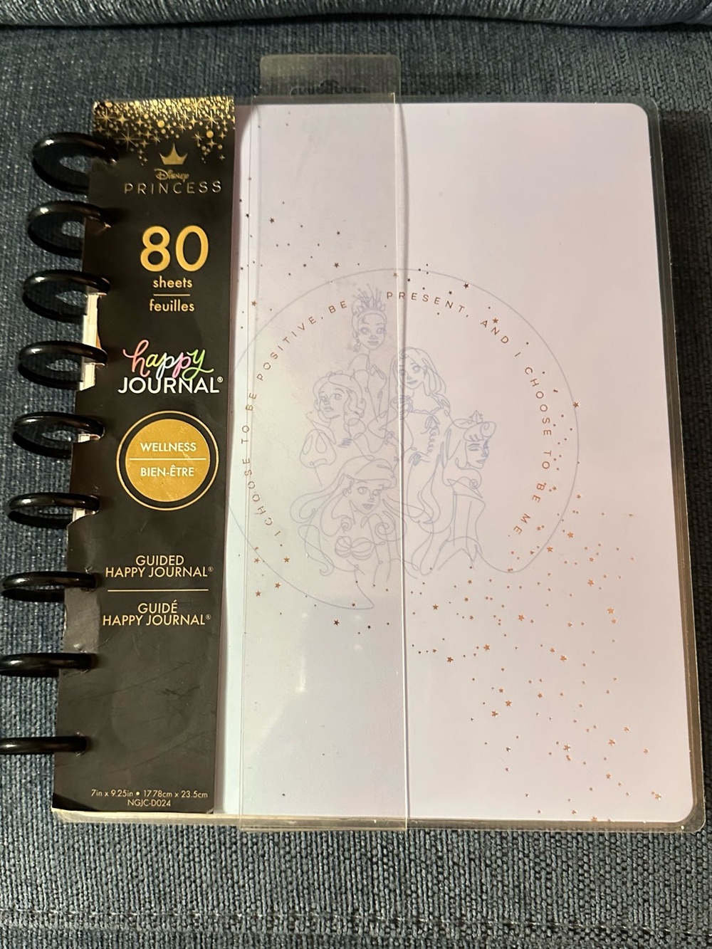 READ DESCRIPTION The Happy Planner Princess Guided Wellness Journal Classic Size